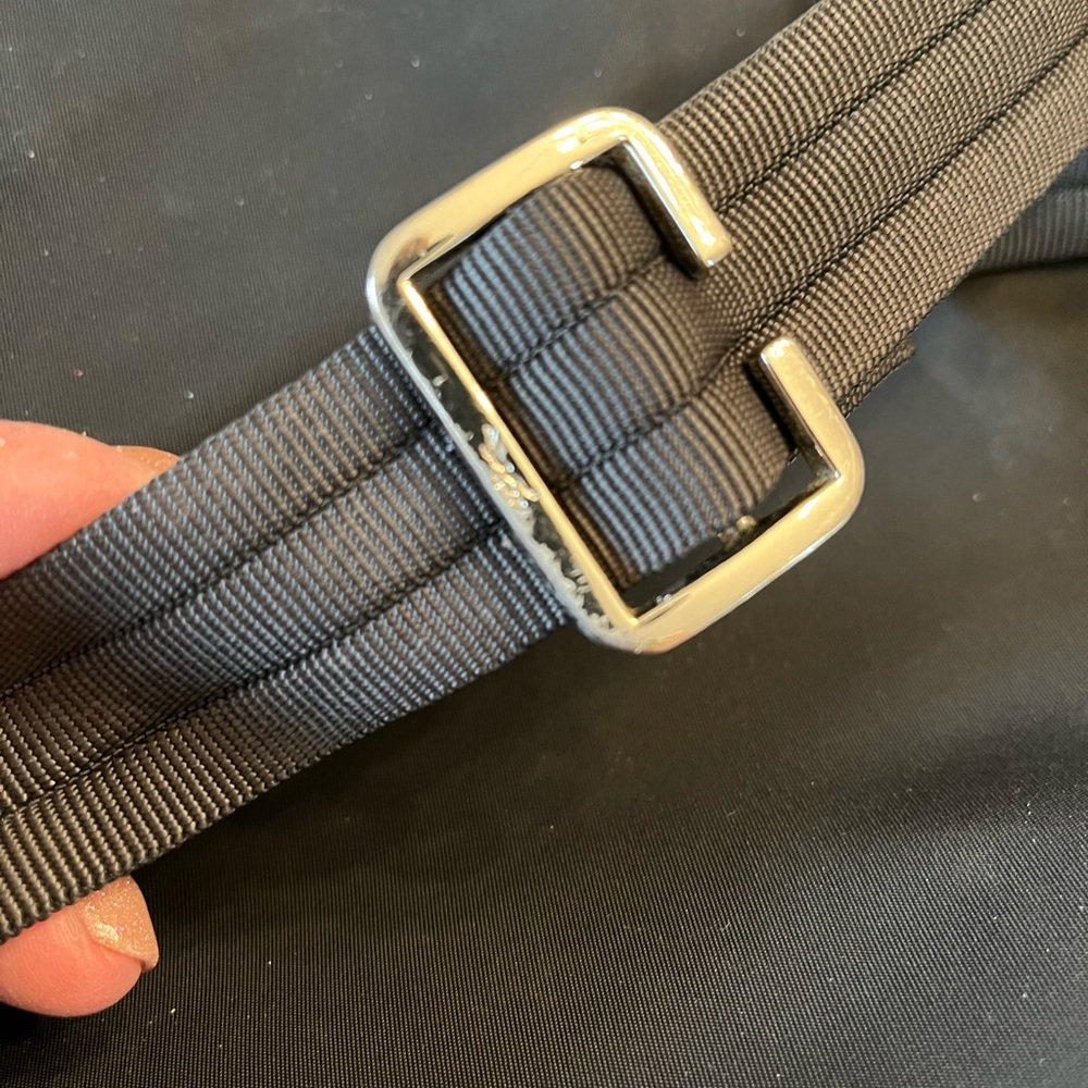 Longchamp Crossbody - Picture 7 of 9